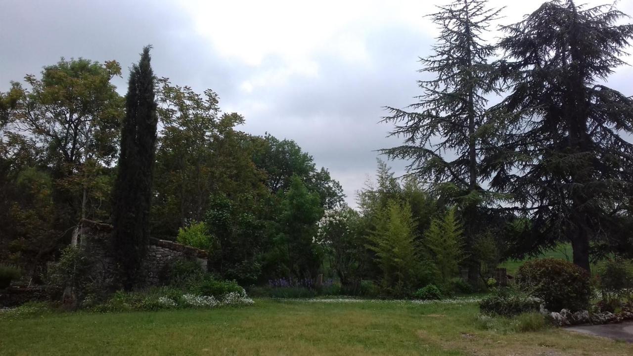 Bed and Breakfast Domaine De Seguela Fargues  Екстер'єр фото