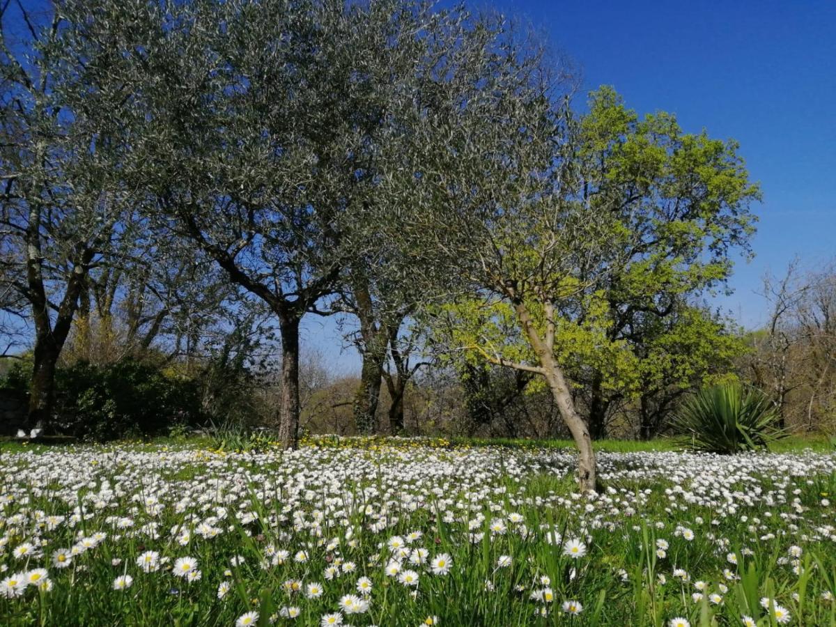 Bed and Breakfast Domaine De Seguela Fargues  Екстер'єр фото